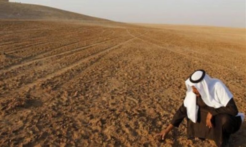 دعم المواد الغذائية المباشر.. نواة دعم حقيقي مشوّهة