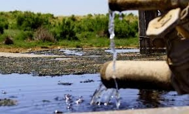 بين التلوث في شركة الأسمدة وتلوث الضمائر أشكال الإهمال المتعمّد لمؤسسات القطاع العام كثيرة، وفي شركة الأسمدة أوجدت الحلول، وطُبقت وتم التراجع عنها