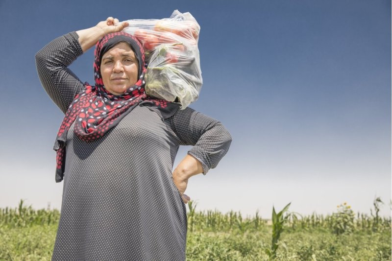 310 ألف ليرة لتكاليف معيشة أسرة نهاية 2018